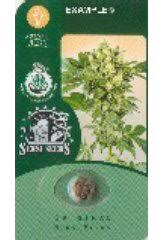 Michka Order At Hipersemillas Few cannabis strains in the world enjoy the popularity of skunk. hipersemillas com