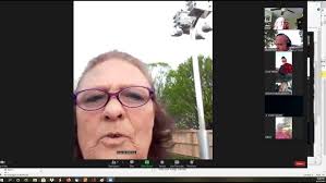 Purple Martin Fanatics Virtual Site Tour, Kathy Freeze site