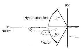 physical exam of the hand hand orthobullets