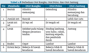 Soal dan kunci jawaban pat matematika smp kelas 7 kurikulum 2013. Kunci Jawaban Ipa Kelas 8 Halaman 36 37 Ayo Kita Lakukan Aktivitas 1 6 Bab 1 Ilmu Edukasi