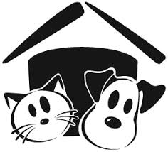 Voted as one of the top three animal rescues and top three places for pet adoption in the albuquerque journal's readers choice awards. Pets For Adoption At New Mexico Animal Friends In Albuquerque Nm Petfinder