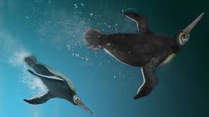 The last frontier has finally been breached: Paleontologists Discovered Prehistoric Fossils That Link Giant Penguins To Their Modern Descendants Science