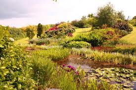 Portando con loro conoscenze e tecnologie e sviluppando miniere «modello cornovaglia» in tutto il mondo. Viaggio Tra Giardini E Paesaggi Della Cornovaglia Sguardo Nel Verde