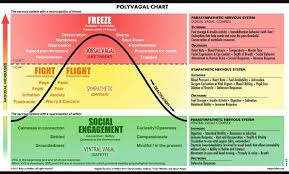 It is very effective because it directly influences the great prana known as kundalini energy. Who Is Stephen Porges And Why Is His Theory Connected To Yoga Network Yoga Therapy