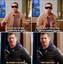 Brooklyn nine nine should have continued these fbi paintball episodes with new challenges as seasons proceeded. 15 Funny Memes From Brooklyn Nine Nine Know Your Meme Brooklyn Nine Nine Funny Brooklyn Nine Nine Tv Shows Funny