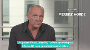 Ail Bienfaits Pour La Sante Et Contre Indications