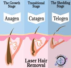 Louis is a safe procedure that targets pigment in the hair follicle to destroy the hair's growth centers. Best Saint Louis Laser Hair Removal Find A Better You