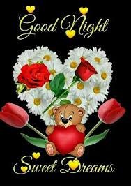 Good Night Good Night Flowers Good Night Image Good Night