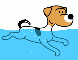 Swimming Pool Dog Gif Find Share On Giphy Search, discover and share your favorite swimming gifs. swimming pool dog gif find share on