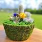 Green Moss Terrarium Class event in Pembroke Pines, FL