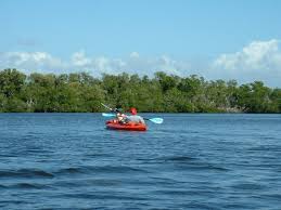 Estero Bay Florida Wikipedia