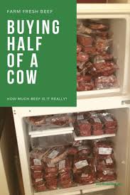 You can search localfarmfinder.com to find anything from grass fed. Buying A Cow How Much Beef Is It Video Clover Meadows Beef