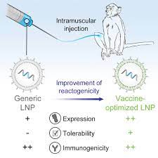 Check spelling or type a new query. Optimization Of Lipid Nanoparticles For Intramuscular Administration Of Mrna Vaccines Molecular Therapy Nucleic Acids