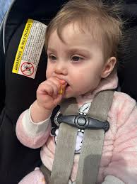 ❗️Are there any Food Trucks available to serve this coming Saturday?❗️  Please refrain from talking about trucks being taken from Comic Con and  Stampede. I am looking for ones who are available.