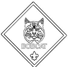 You might also be interested in coloring pages from bobcats category. Bobcat Coloring Page Coloring Pages Scout Boy Scouts