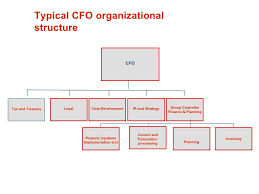 Modern Finance Organisation