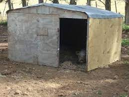Pig Huts For Sale Backyard Farming Pig Farming Pig