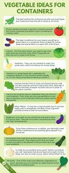 We did not find results for: How To Grow Vegetables In Containers An In Depth Guide