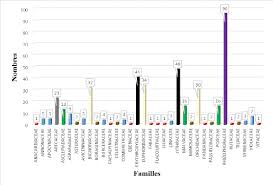 Image result for Erythroxylum platycladum