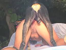 Ma niece baise avec le chien zoo tube 1 from zootube1.com le porno zoophile, c'est top ! Elle Baise Avec Son Chien