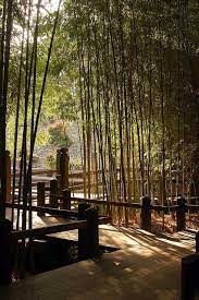 Path Of Brightness Japanese Garden Japanese Garden Design Japan Garden