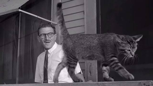 The Sadist (1963) - Cinema Cats