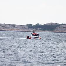 Senaste nyheterna från Alice Nylander