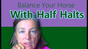 What is a Half Halt Anyway?