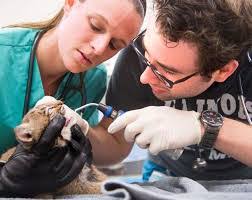 Andy Monts's Instagram, Twitter & Facebook