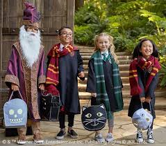 Kids Harry Potter Gryffindor Halloween Costume Harry Potter Family Costume Harry Potter Halloween Costumes Harry Potter Costume