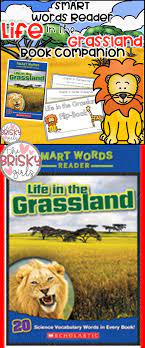 Animal Habitats Animals In The Rainforest Animals In The Savanna Animals In The Grasslands The Tund Elementary School Activities Flip Book Science For Kids