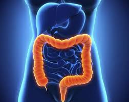 Check spelling or type a new query. Dolor En Parte Derecha E Izquierda Del Abdomen A Que Se Debe