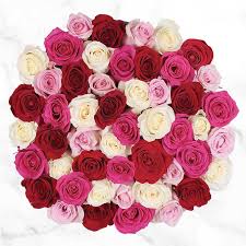 We all know someone who deserves a greeting from the pay back. 50 Stem Shades Of Pink Quad Roses Costco