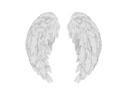 Ohlord3 Wings Png Wings Angel