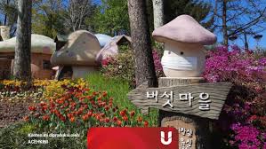 Apabila liburan kali ini merupakan kunjungan kedua anda ke korea selatan pengunjung untuk festival bunga sakura ini bisa mencapai dua juta tiap tahunnya. Bunga Bunga Musim Semi Korea Selatan Di Tengah Covid 19 Kumparan Com