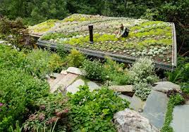 Maybe you would like to learn more about one of these? Mill Valley Cabins Feldman Architecture