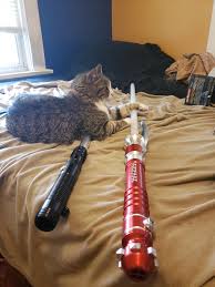 Share the best gifs now >>> Spent Some Of My Stimulus Check On My Very First Lightsabers Just Arrived Today Small Gallery And Cat Review In The Comments Lightsabers