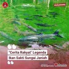 Kolam ikan sakti sungai jernih itu merupakan salahs atu objek wisata yang cukup ramai di kabupaten agam. Info Minang Sungai Janiah Adalah Sebuah Nagari Di Facebook