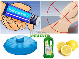 Ecco come eliminare le pulci in casa in poco tempo con questi due straordinari rimedi naturali a costo zero Pulci Sull Uomo Come Riconoscerle Ed Eliminarle Tecnologia E Ambiente