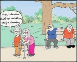 7 funny short stories for seniors. Clean Senior Citizen Jokes Cartoons Funny Maxine Quotes