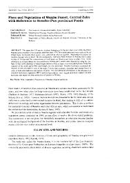 Image result for Lasiodiscus mannii