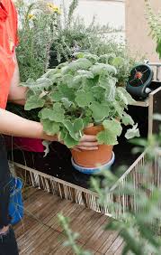 Ich Lasse Die Sonne Giessen Automatische Bewasserung Fur Den Balkon Garten Fraulein Der Garten Blog Bewasserung Garten Automatisches Bewasserungssystem