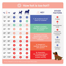 How Hot Is Too Hot For Dogs Outdoor Temperature Safety Chart Petplan Your Dog Cool Dog Beds Pet Hacks