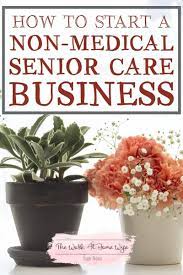 Pin On Non Medical Home Care