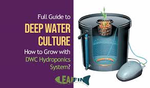 If you are a beginner in the field of growing plants with hydroponics method, this is a cheap (in comparison to other options) and simple diy setup that. Full Guide To Getting Started With Deep Water Culture Hydroponics In 2019