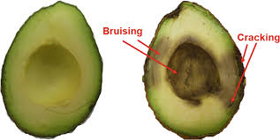 Image result for Dark Avocado 1977 Fedders