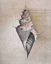 Download 60 Golden Ratio Art Ideas Golden Ratio Golden Ratio Art Sacred Geometry