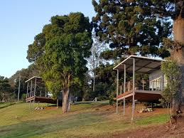 The finest cairns cabins to go glamping in queensland. Beechmont Bean Cabins Beechmont Accommodation Cairns