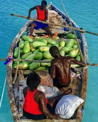 58 Likes 1 Comments Odyans Magazin Odyansmagazin On Instagram Ayiti Haiti Haitian Art Caribbean Islands