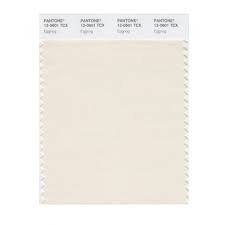 Pantone 12 0601 Tcx Swatch Card Eggnog